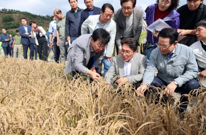 김민석 국무총리, 장흥 벼 깨씨무늬병...