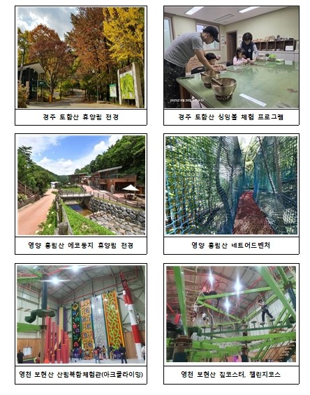 가을빛 명절, 경북 자연휴양림에서 자...